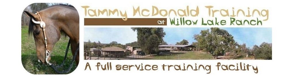 Tammy McDonald Training A full service horse training stable serving Northern California, including Sacramento, Placer County, Auburn and Placerville