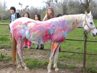 Paint the horse 