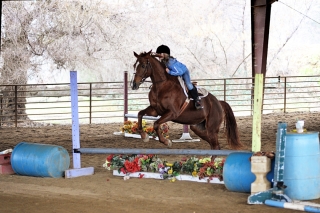 Jumping Clinic