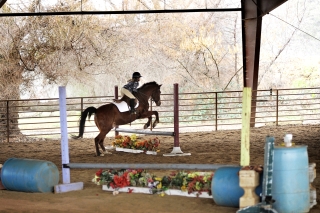 Jumping Clinic