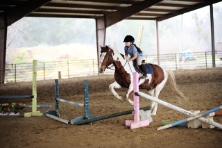 Jumping Clinic