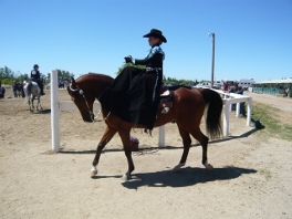 Katie Desi side saddle Daha2010